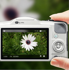 Camera flower