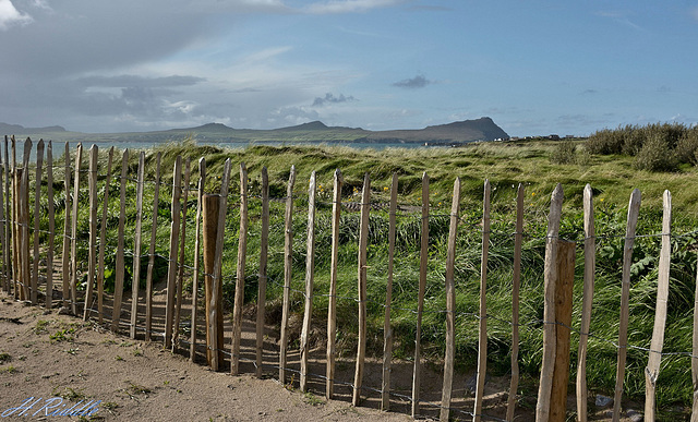 Irish rustic fence