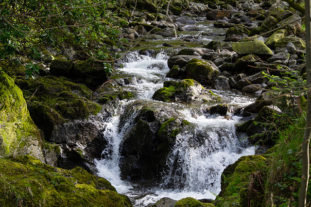 Waterfall walk higher up stream