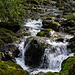 Waterfall walk higher up stream