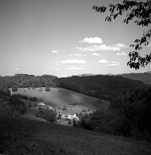 Lindenhöhe, Schwarzwald