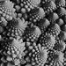 Romanesco, natures fractals