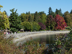 Seawall and Autumn Foliage