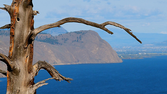 Kamloops Lake