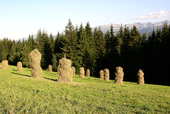 Heuernte in den Bergen bei Zakopane