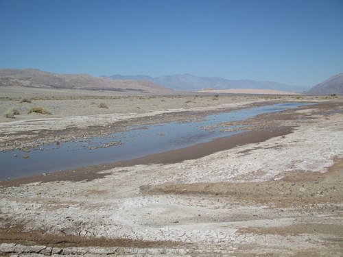 Cerro Gordo 51