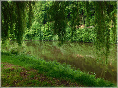 Reflets à Saint Léon sur Vézère (24)