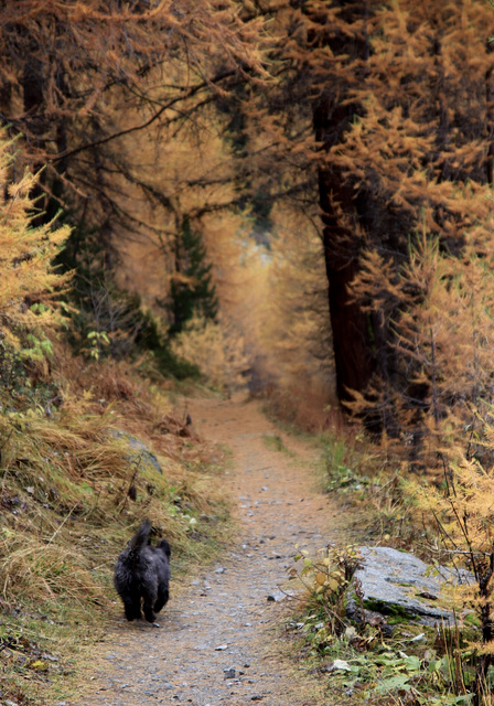 Suivre le sentier ...