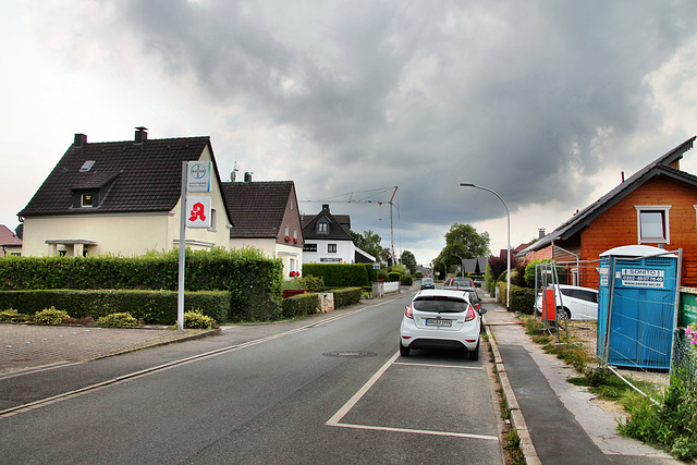 Auf dem Schnee, Stadtgrenze Witten/Herdecke / 1.08.2022