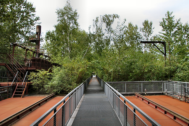 Vegetation auf der Koksofenbatterie 1 (Kokerei Hansa, Dortmund-Huckarde) / 9.09.2018