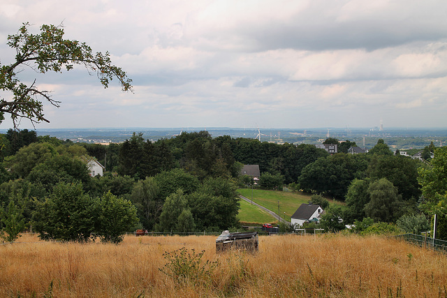 Auf dem Schnee, Blick Richtung Flachland (Herdecke) / 1.08.2022