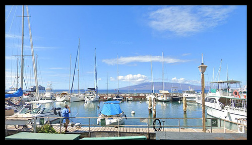 Lahaina harbour