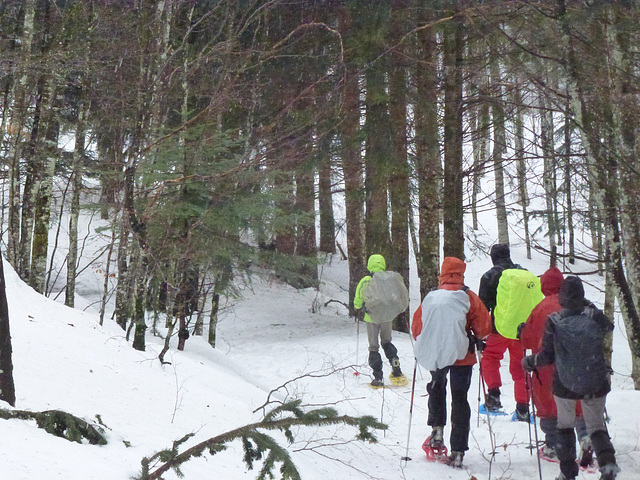 20150221 Raquettes Vercors Col de la Machine (10) al