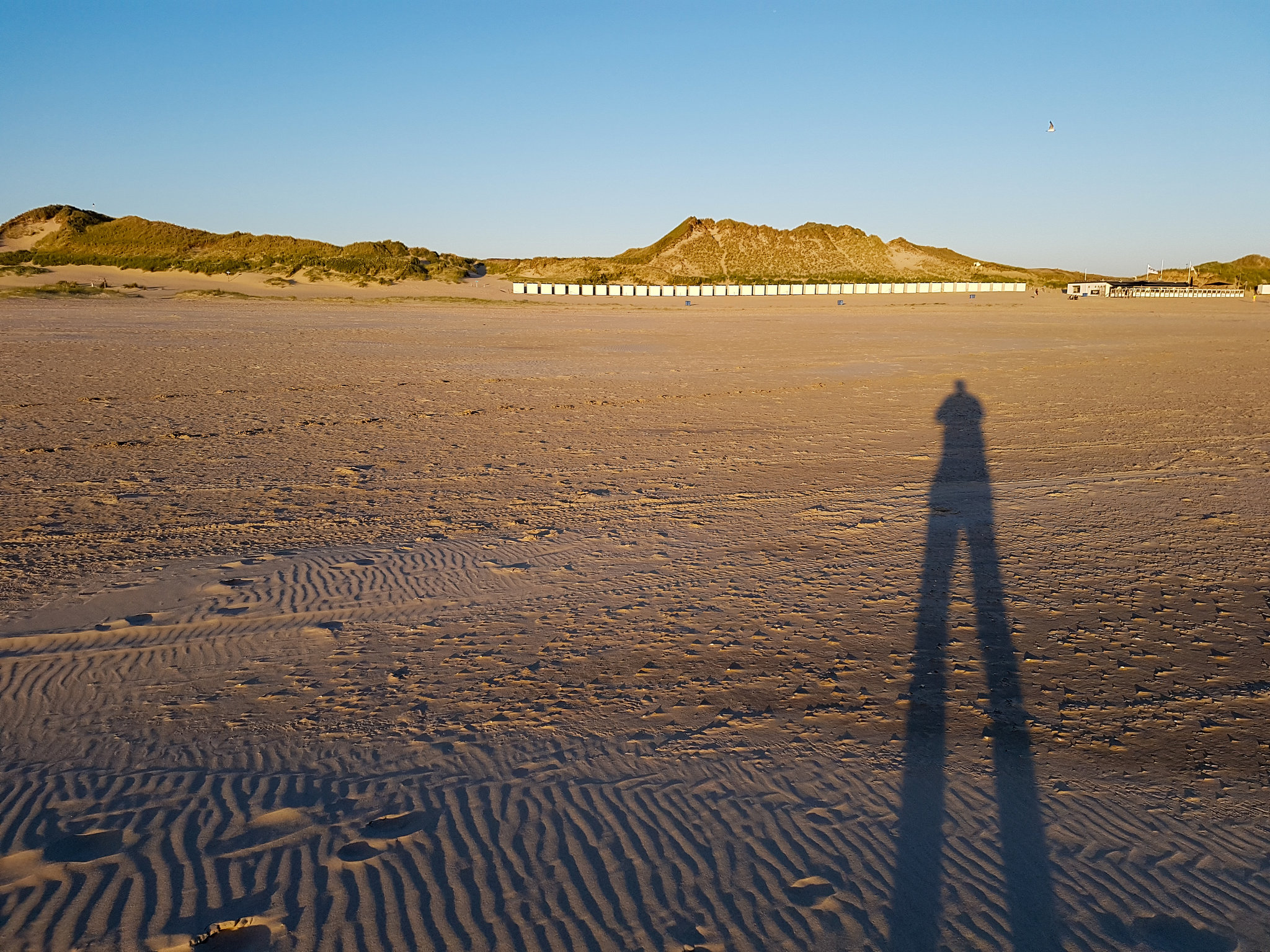 Netherlands - Hargen aan Zee