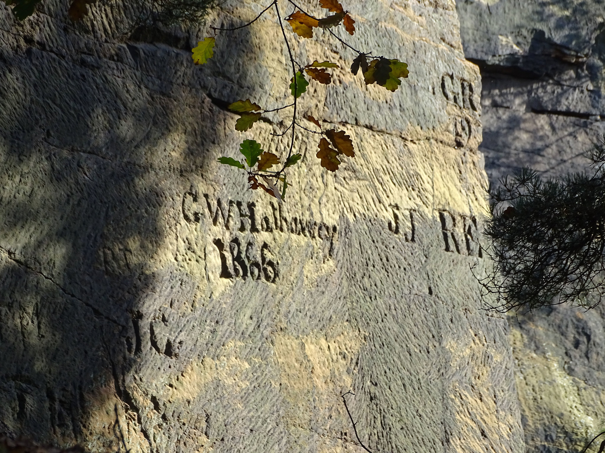 Wall carving