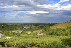 Panorama da San Tomaso di Cesena