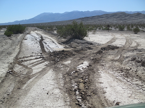 Cerro Gordo 54
