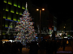 Christmas Tree - Náměstí Svobody