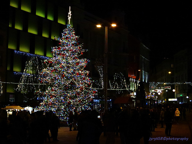 Christmas Tree - Náměstí Svobody