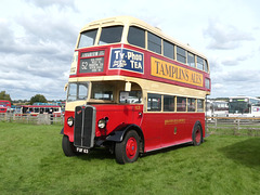 Former Brighton Corporation 63 (FUF 63) at Showbus 50 - 25 Sep 2022 (P1130482)