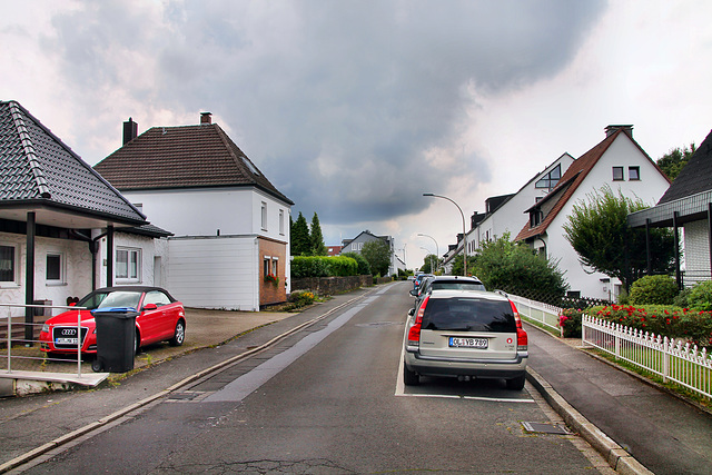 Auf dem Schnee (Herdecke) / 1.08.2022