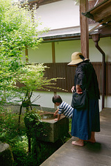 Temple Sanzen-in (三千院) (1)