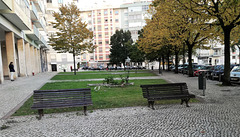 Small garden between Benfica's blocks - II