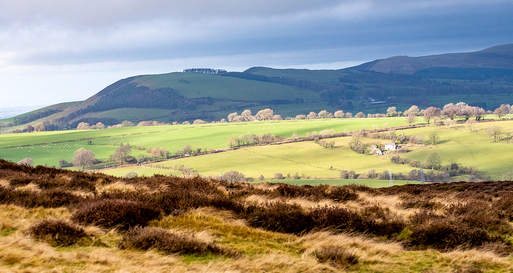 Horseshoe Pass