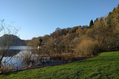 Late Autumn At Balmaha