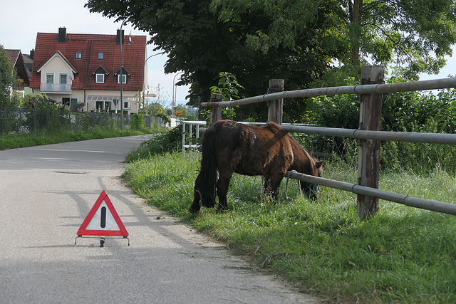 The grass is always greener on the other side. (HFF)