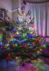 Christmas Tree 31-Dec-2015 10