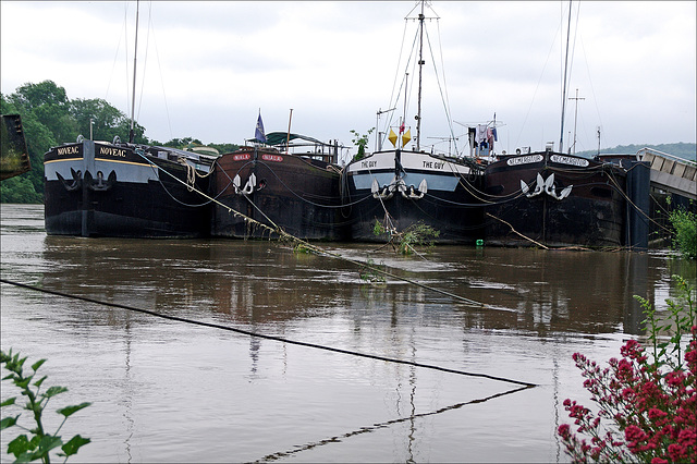 Crue Seine Conflans-juin2016