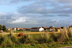 Cais da Bestida, Murtosa, Portugal