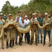 Sucuri do Pantanal