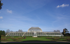 Palm House