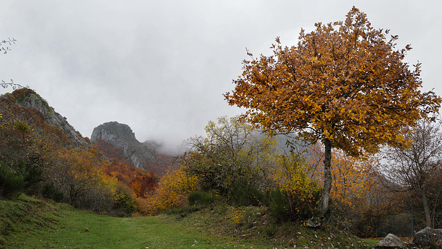 Picos de Europa, Riaño