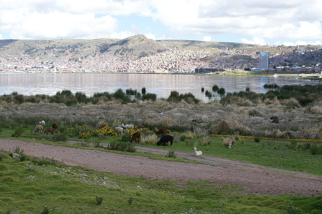 Looking Across To Puno