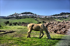 Jimena de la Frontera