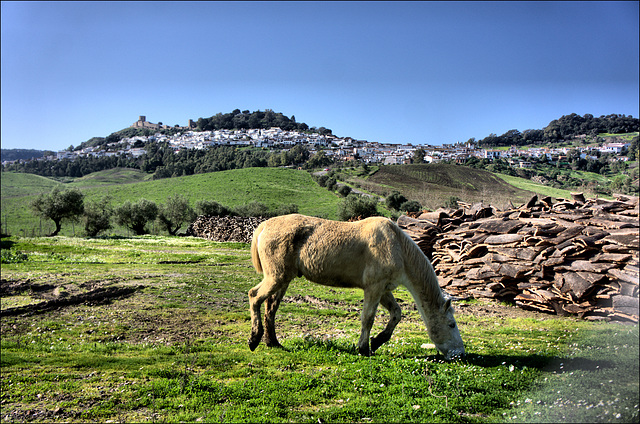 Jimena de la Frontera Jimena de la Frontera
