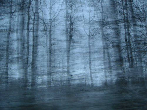 PICT0358