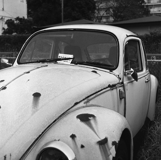 Abandoned Beatle