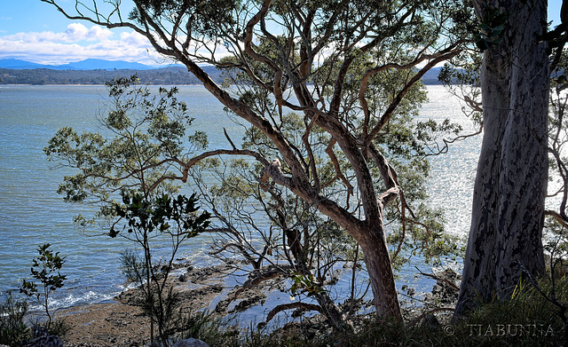 Across the Bay