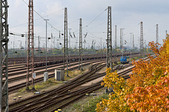 autumn station