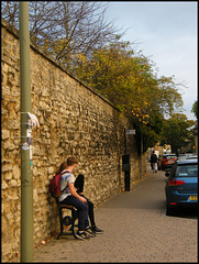 overhanging wall trees