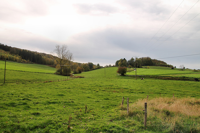 Landschaft im Felderbachtal (Hattingen) / 6.11.2022