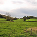 Landschaft im Felderbachtal (Hattingen) / 6.11.2022