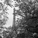 Glimpse through the trees in the wrong place, Paris