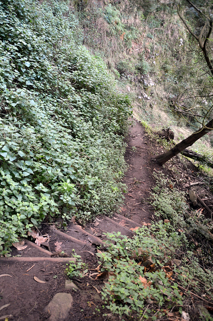 Von hier an wird der Weg etwas enger, und Treppenreicher