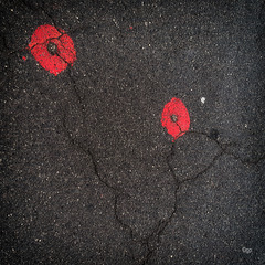 Ground Markings 25/50 - The Red Ones