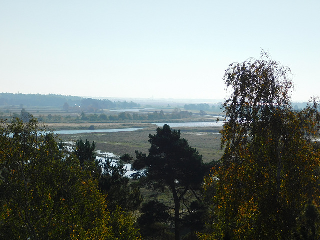 Blick auf den Prerower Strom